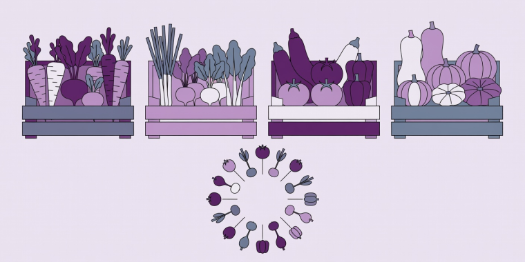 Flat vector illustration in plum, lilac, slate and white depicting four seasonal harvest crates with overwintered roots, spring shoots, summer fruiting crops, and cured autumn squashes